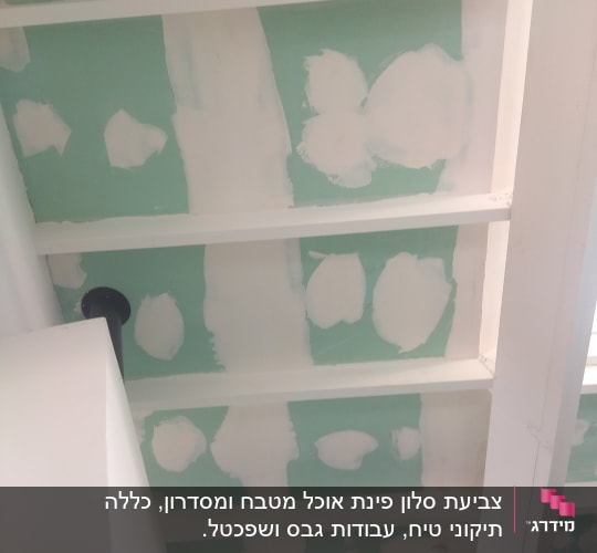 תקרה עם טיח לבן על לוחות ירוקים